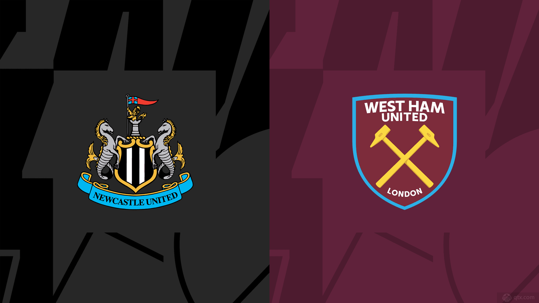 而谢淑薇也 而谢淑薇也